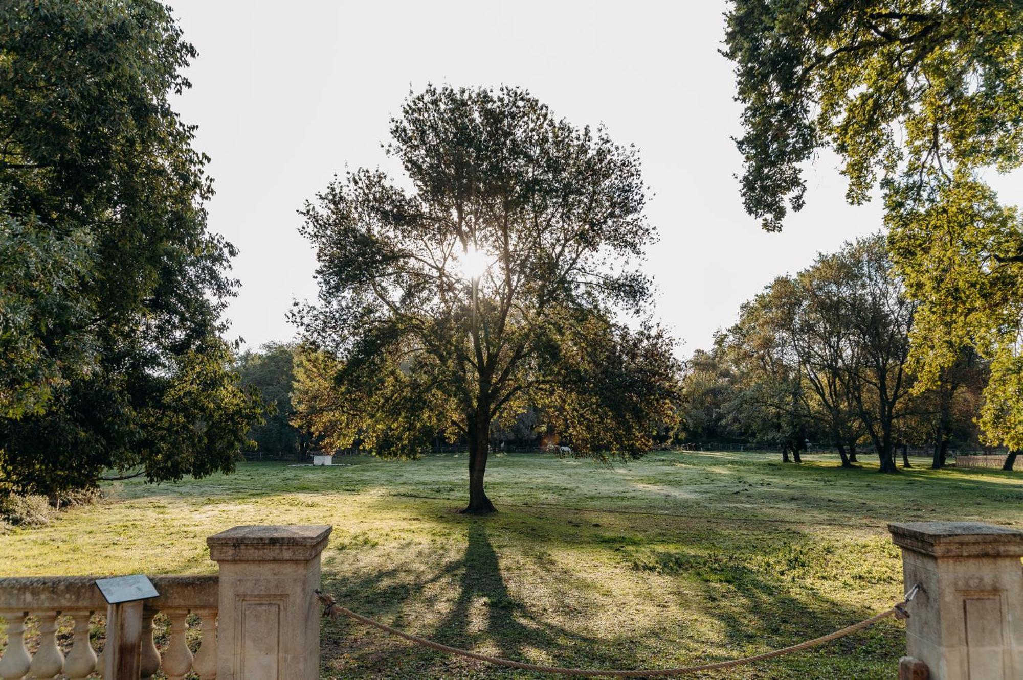 Hotel Domaine De Biar Lavérune Dış mekan fotoğraf
